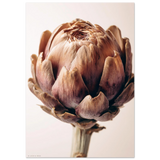 #50 x 70 cm