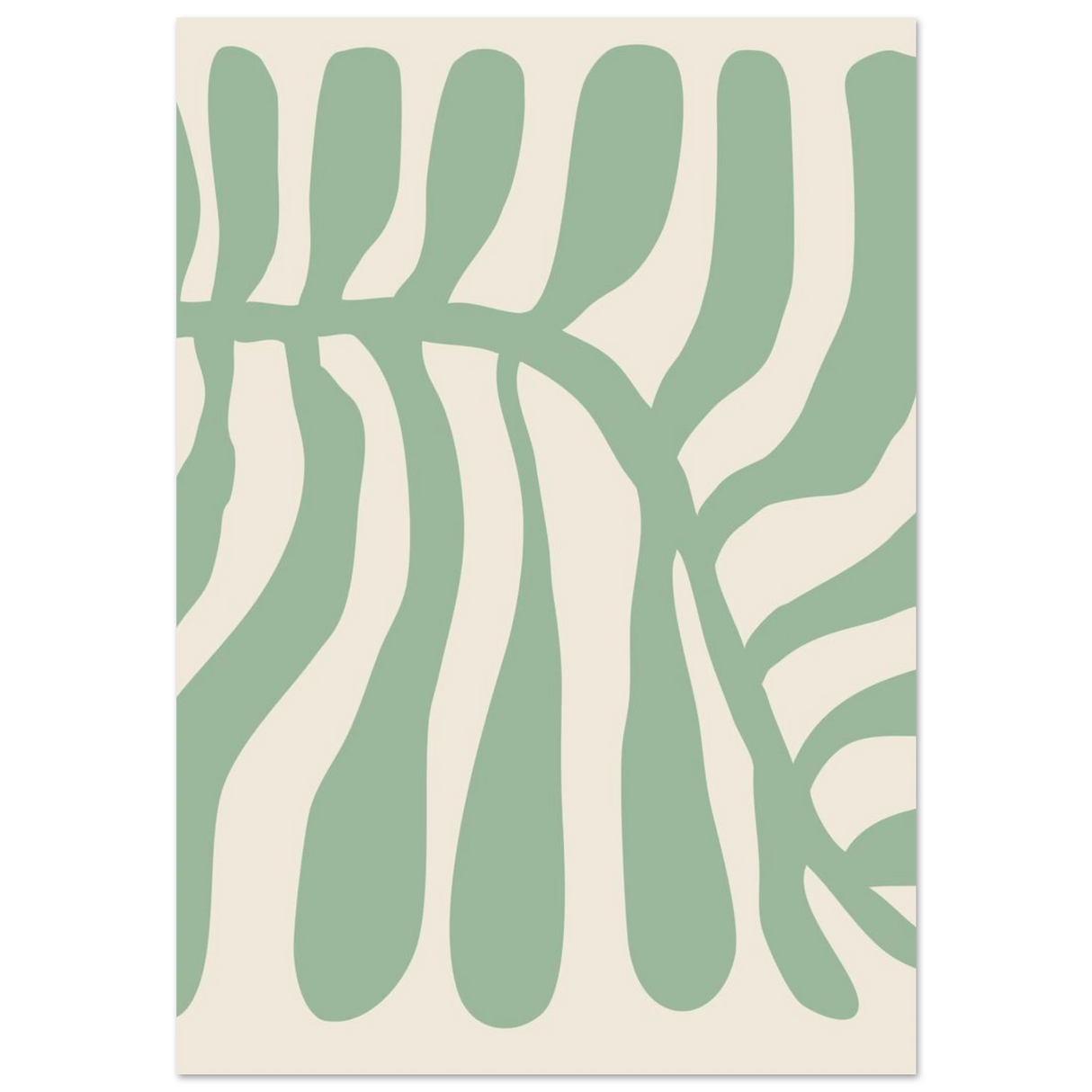 #70 x 100 cm