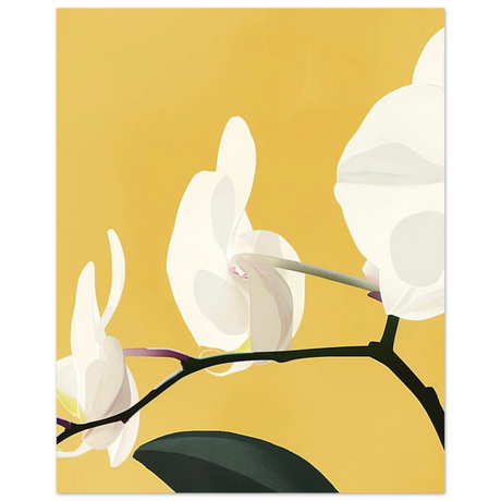 #40 x 50 cm