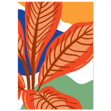 #70 x 100 cm