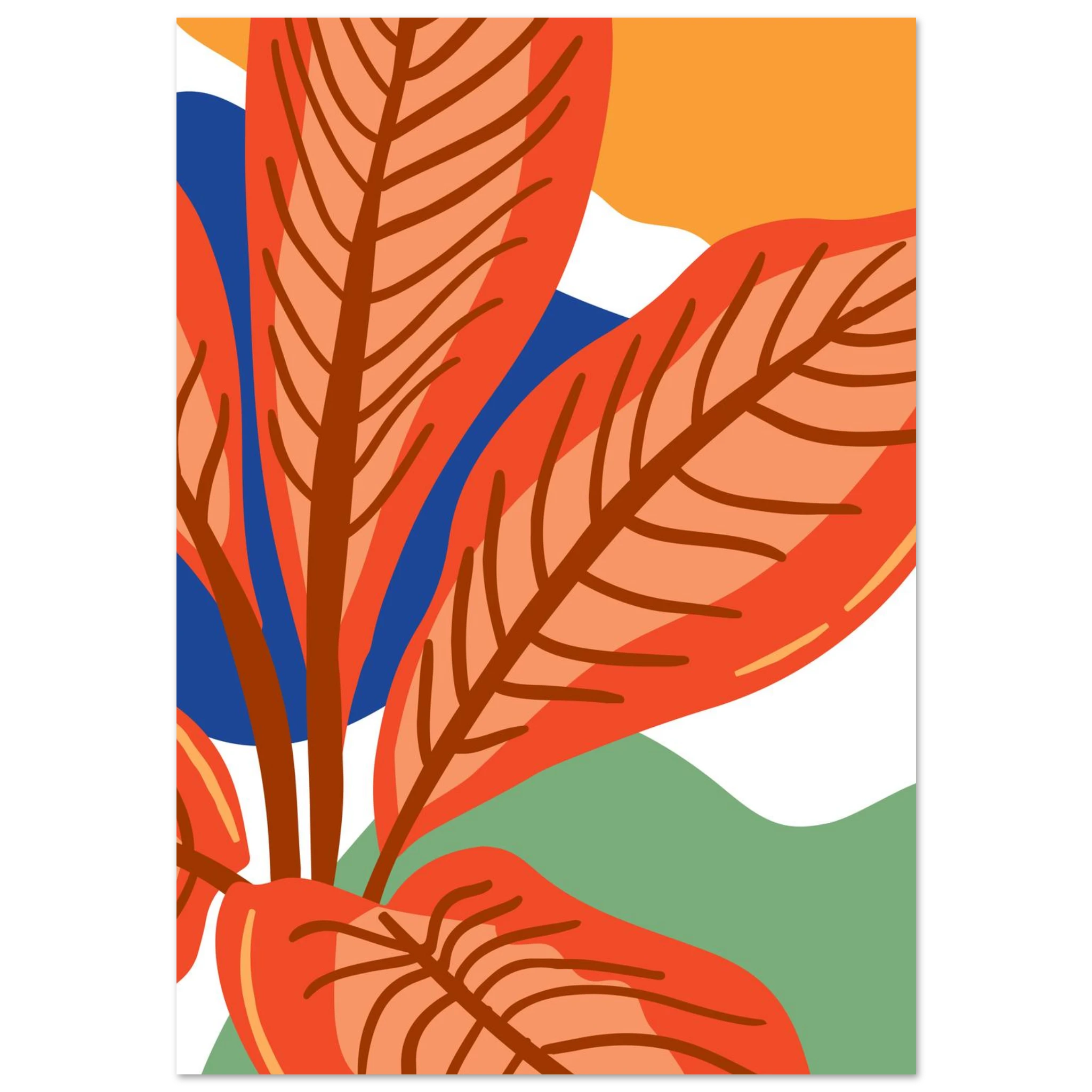 #70 x 100 cm