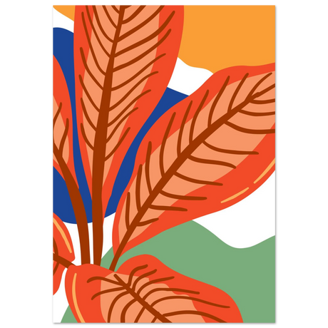 #70 x 100 cm