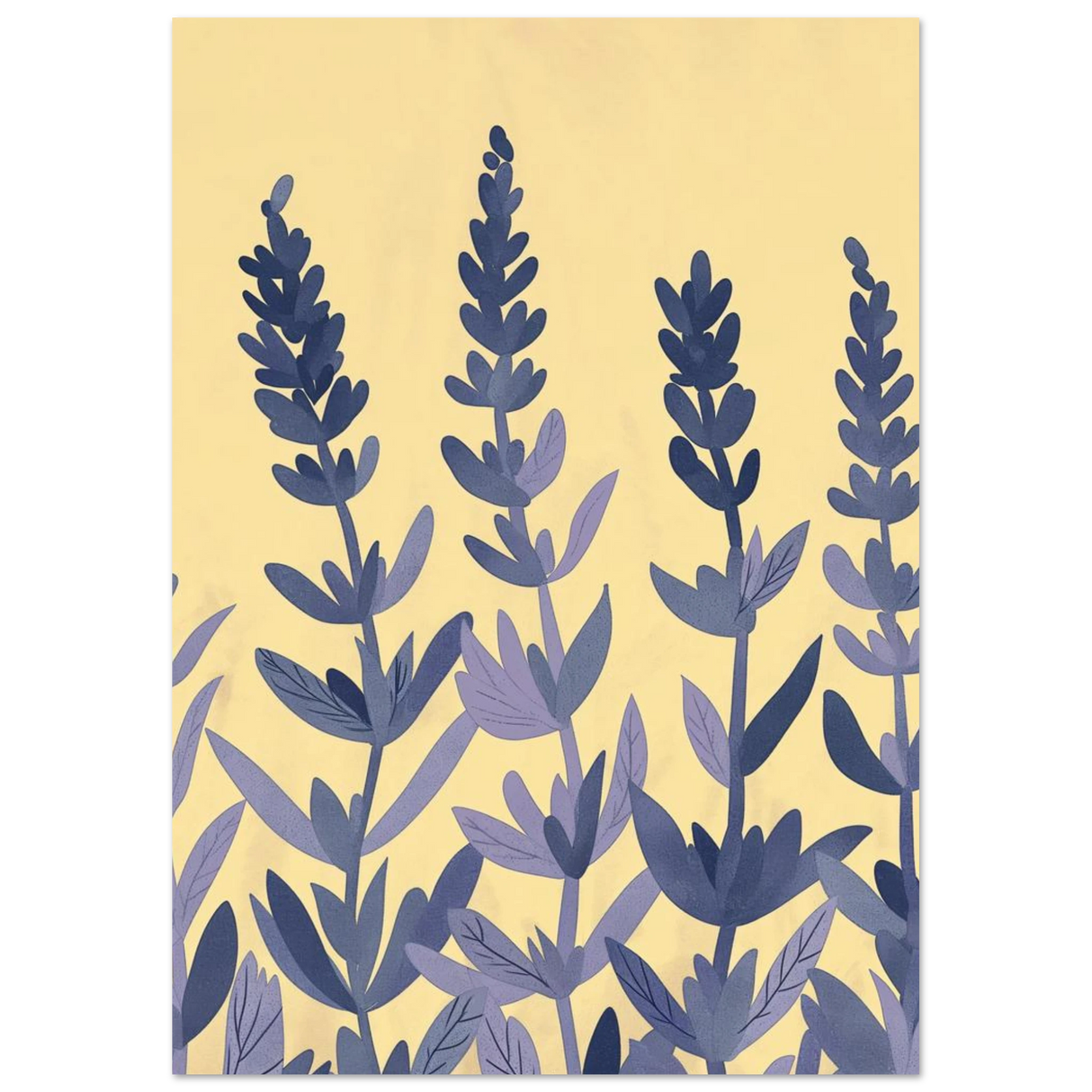 #21 x 29.7 cm