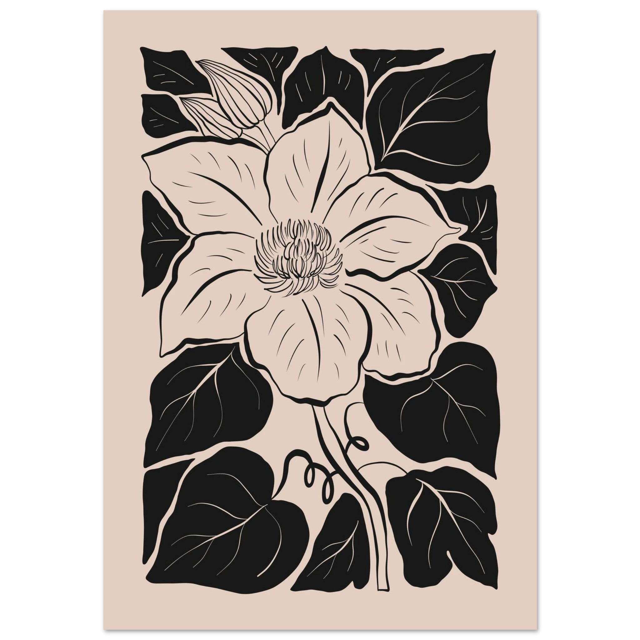 #70 x 100 cm