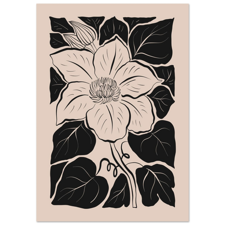 #70 x 100 cm