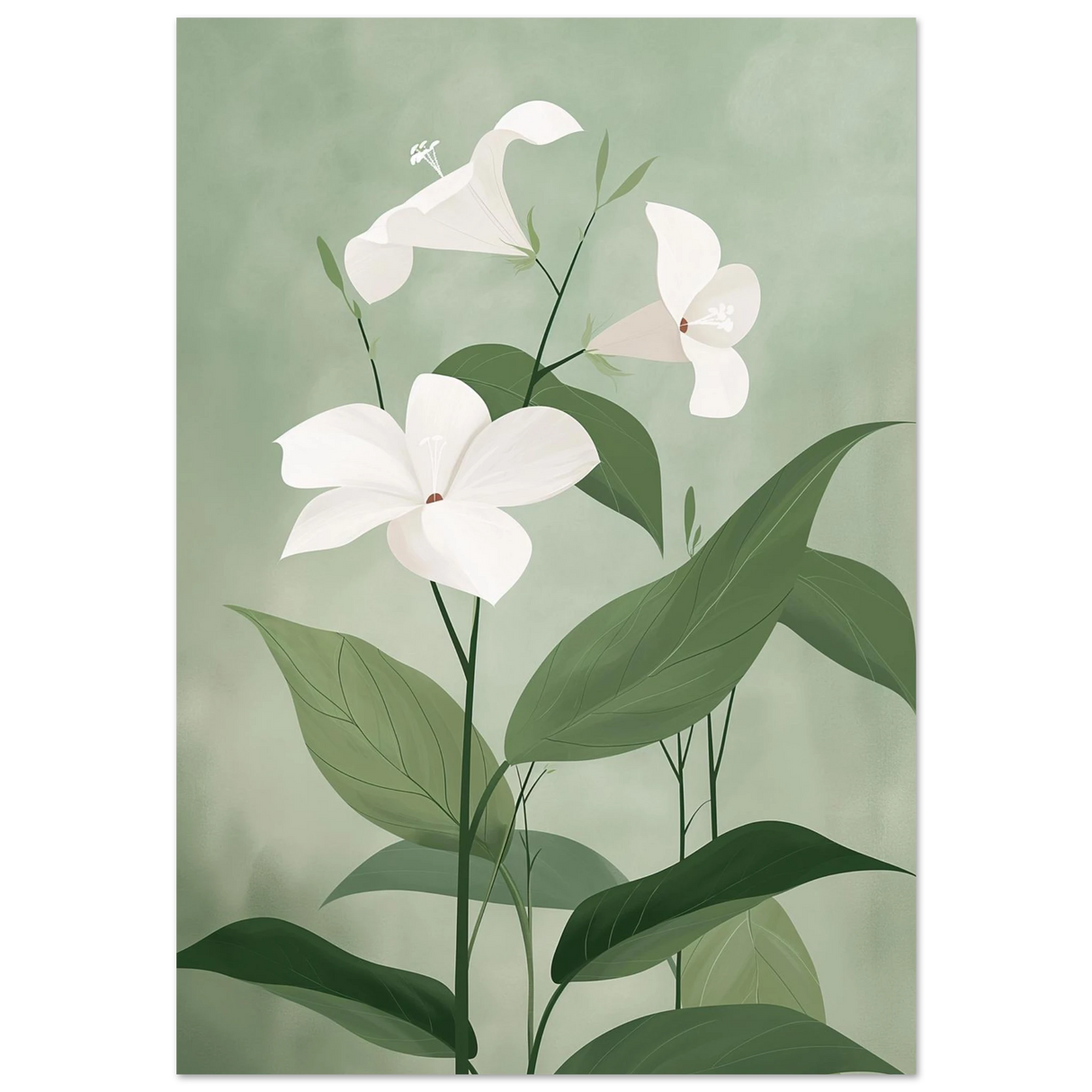 #70 x 100 cm