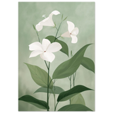 #70 x 100 cm