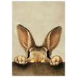 #21 x 29.7 cm