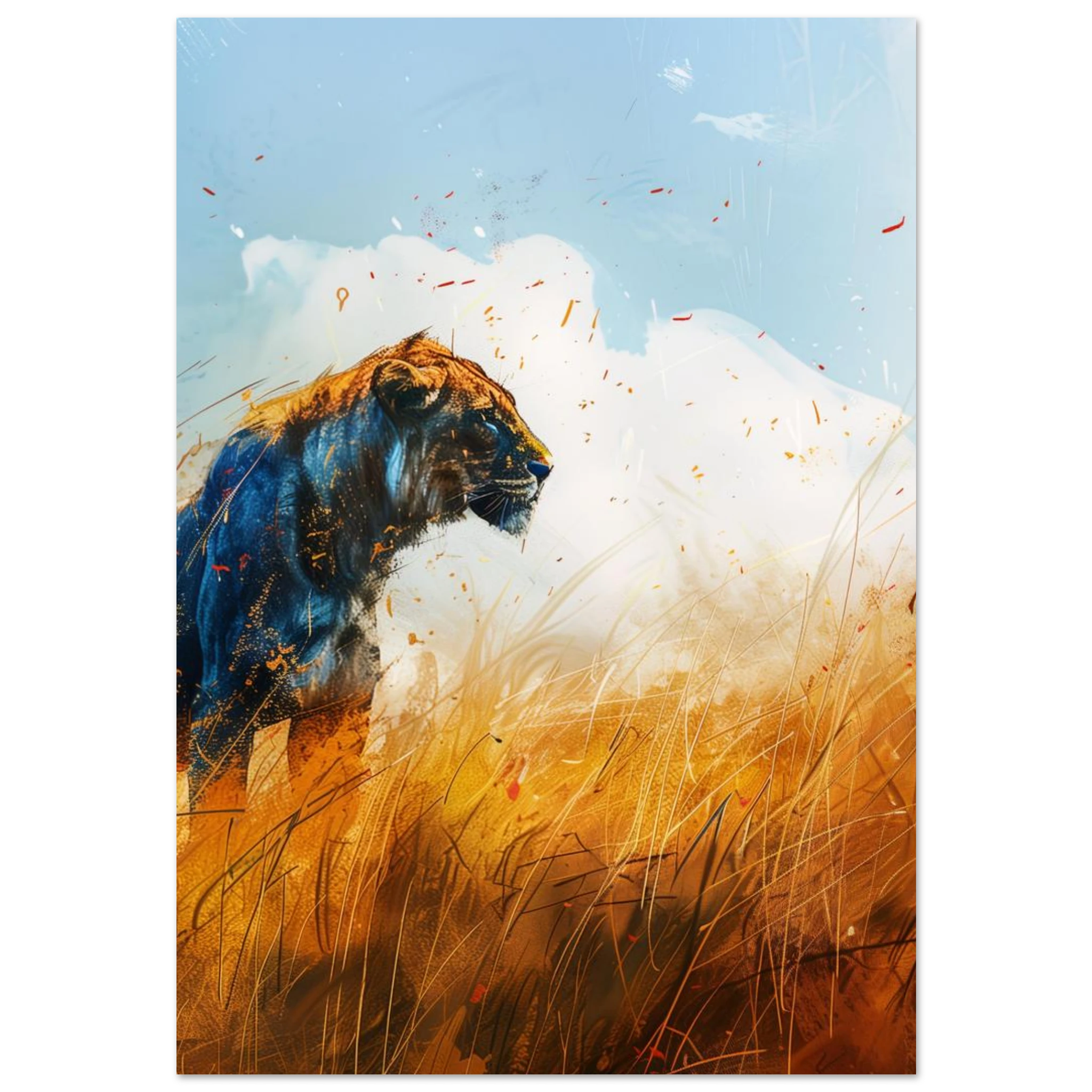 #70 x 100 cm