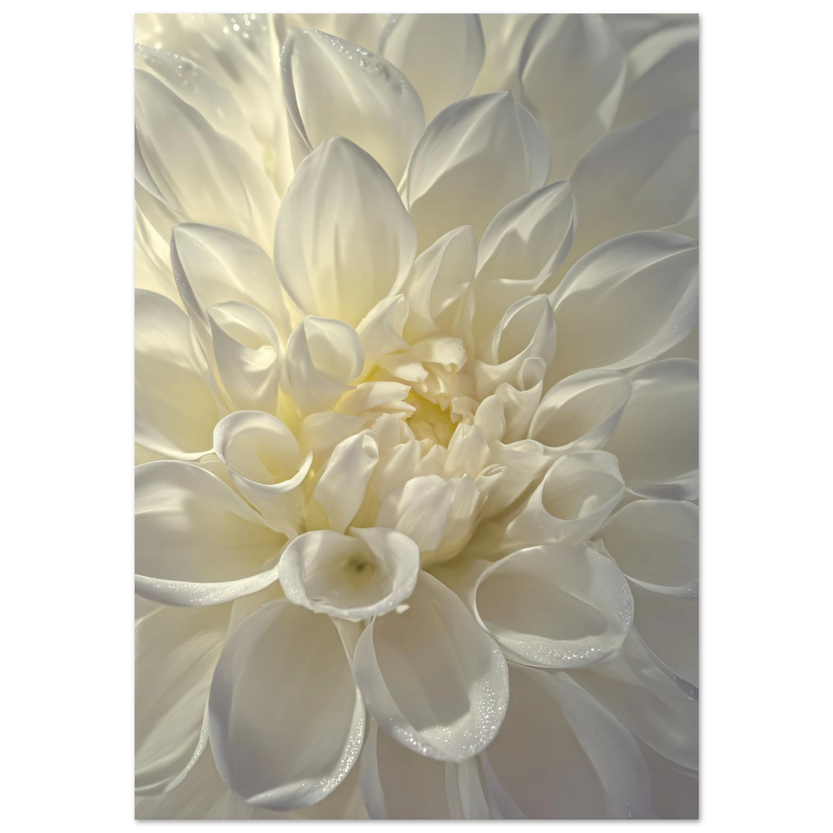 #70 x 100 cm