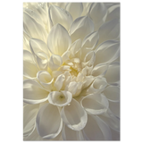 #70 x 100 cm