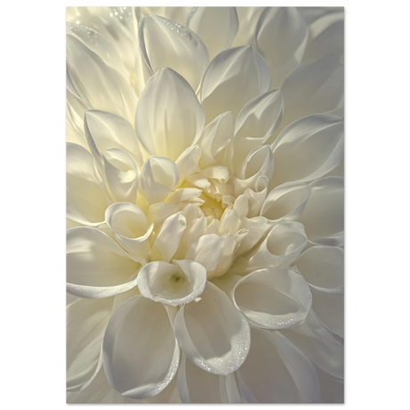 #70 x 100 cm