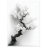 #70 x 100 cm