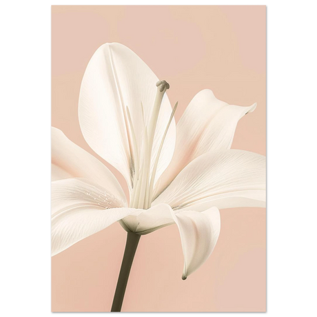 #70 x 100 cm
