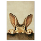 #70 x 100 cm