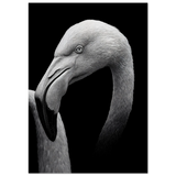 #50 x 70 cm
