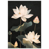#70 x 100 cm