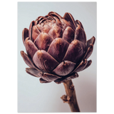 #50 x 70 cm