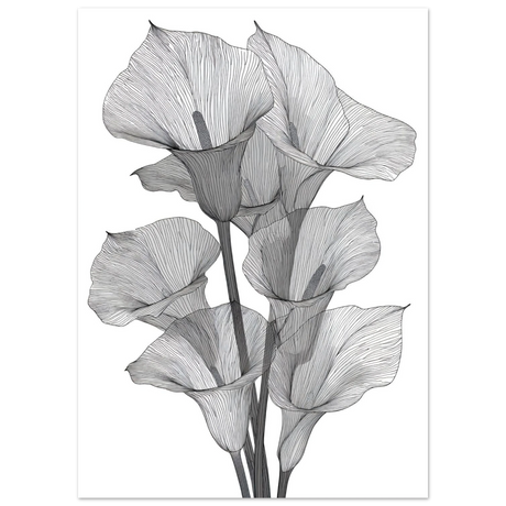 #50 x 70 cm