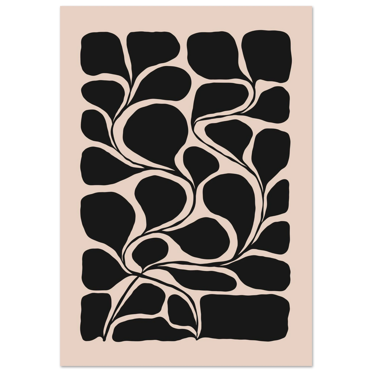 #70 x 100 cm