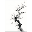 #21 x 29.7 cm
