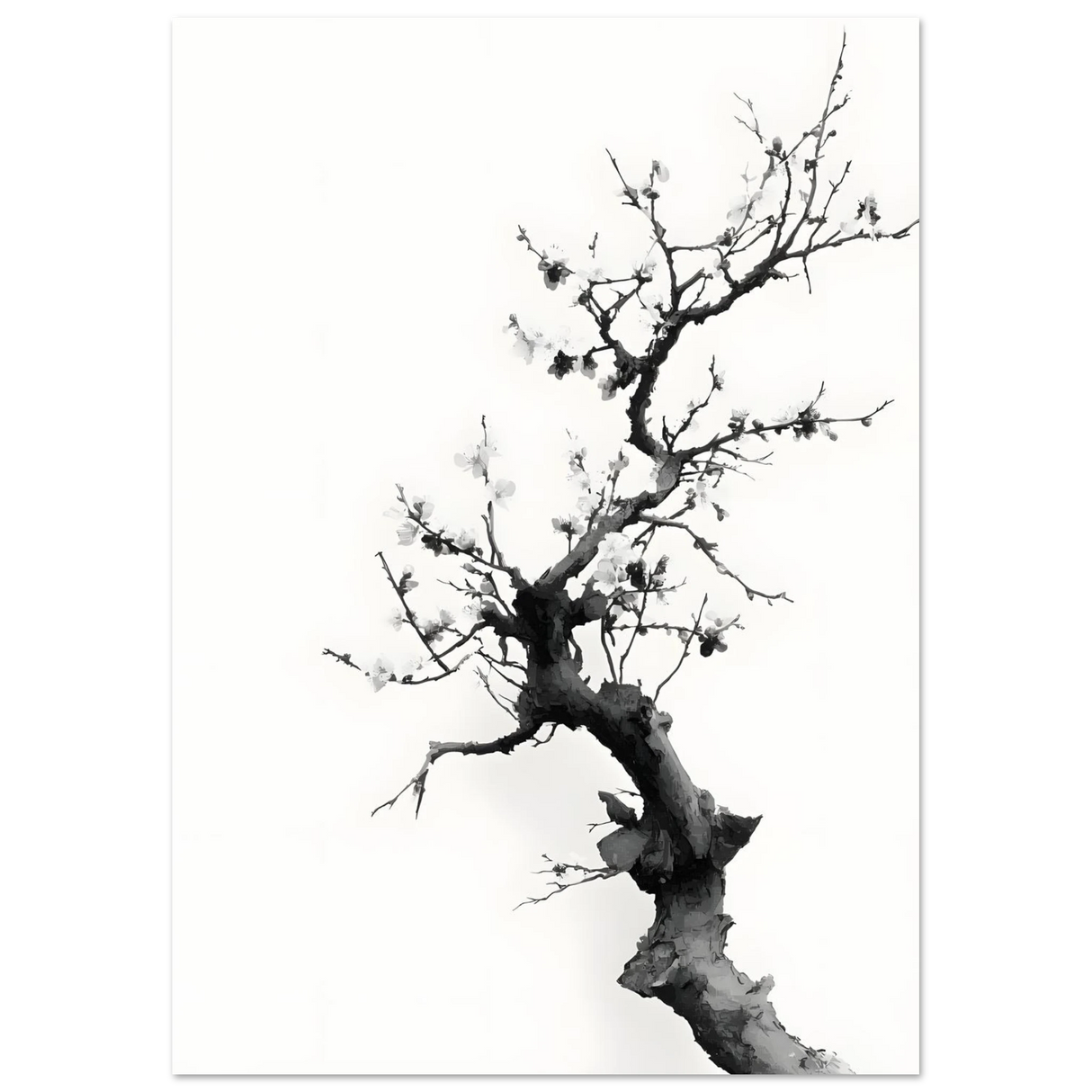 #21 x 29.7 cm