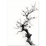 #21 x 29.7 cm