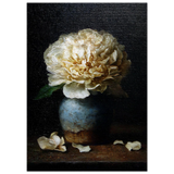 #50 x 70 cm