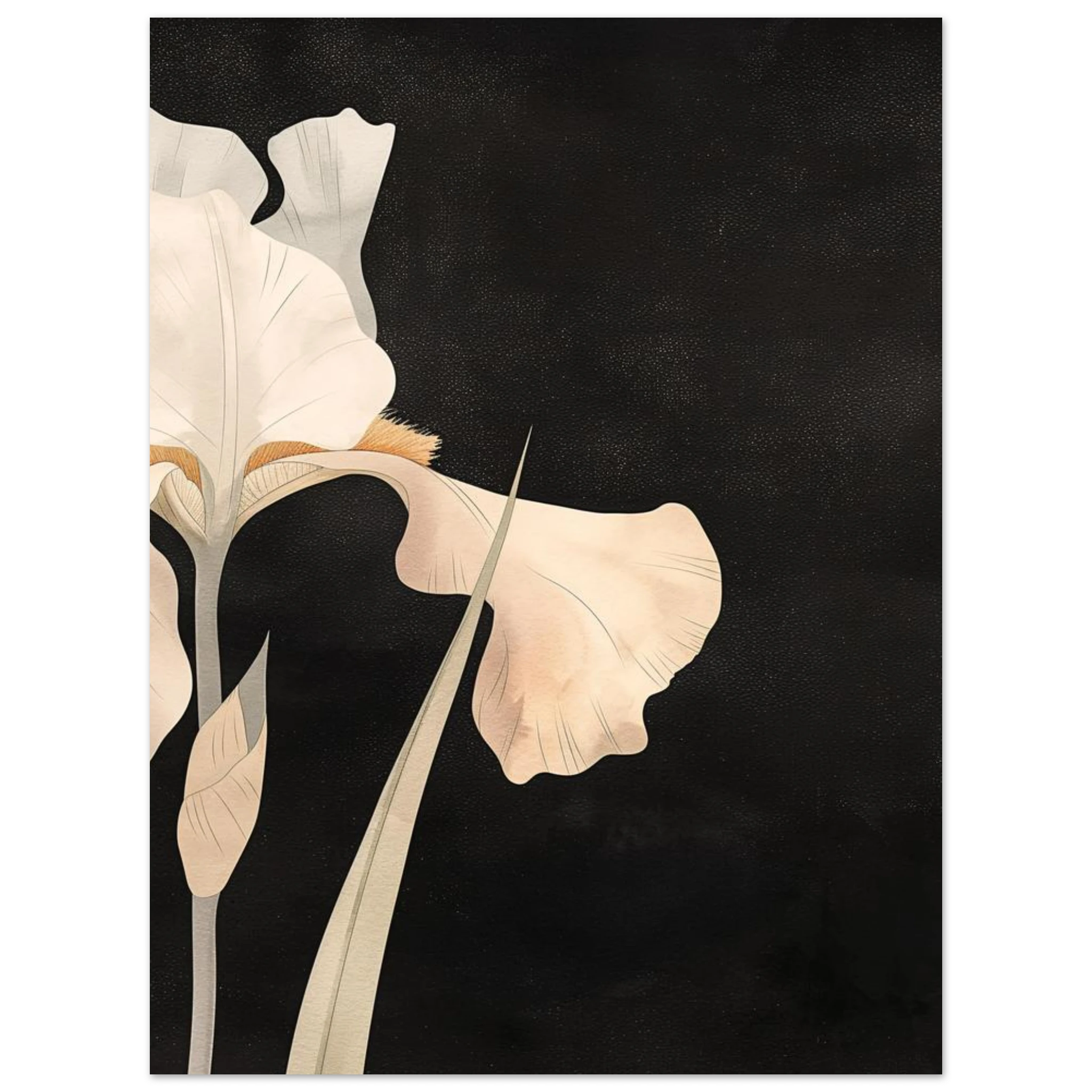#30 x 40 cm