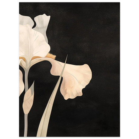 #30 x 40 cm