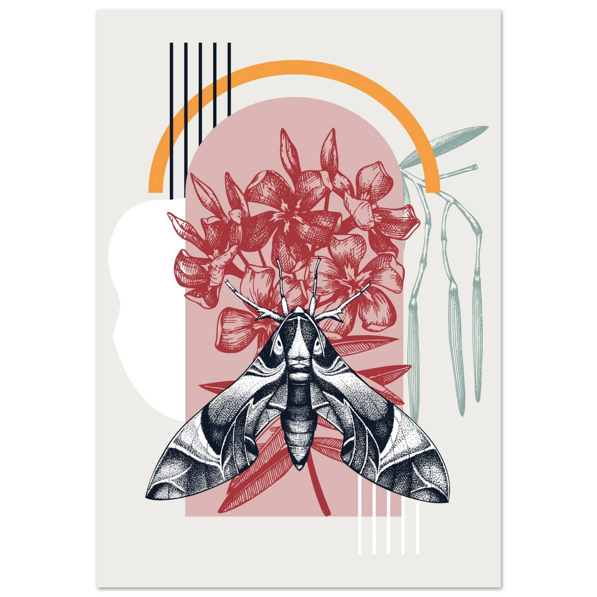 #70 x 100 cm