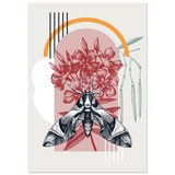 #70 x 100 cm