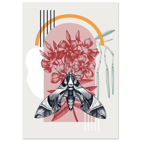 #70 x 100 cm