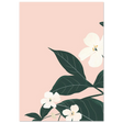 #21 x 29.7 cm