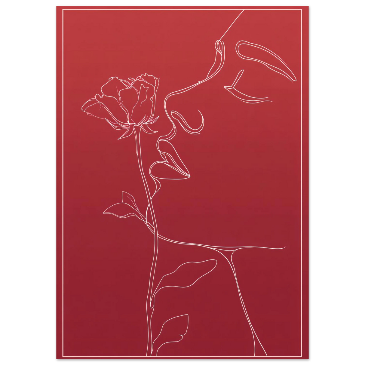 #50 x 70 cm