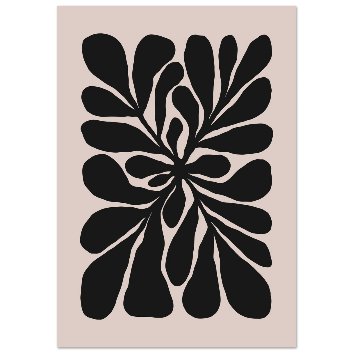 #70 x 100 cm
