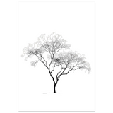 #40 x 50 cm