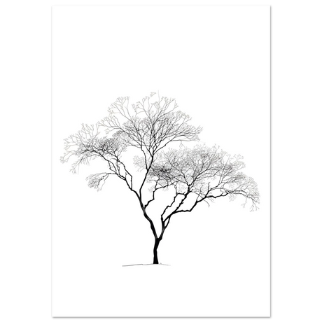 #40 x 50 cm