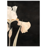 #50 x 70 cm