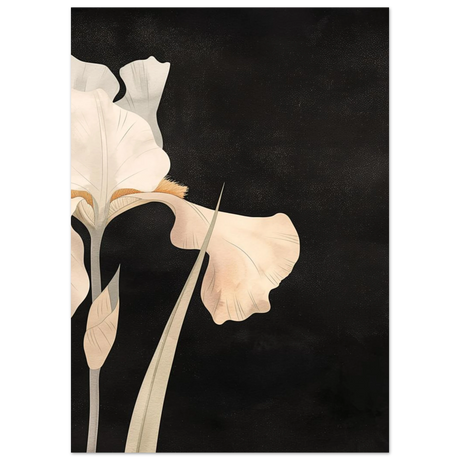 #50 x 70 cm