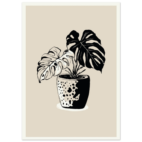 #50 x 70 cm