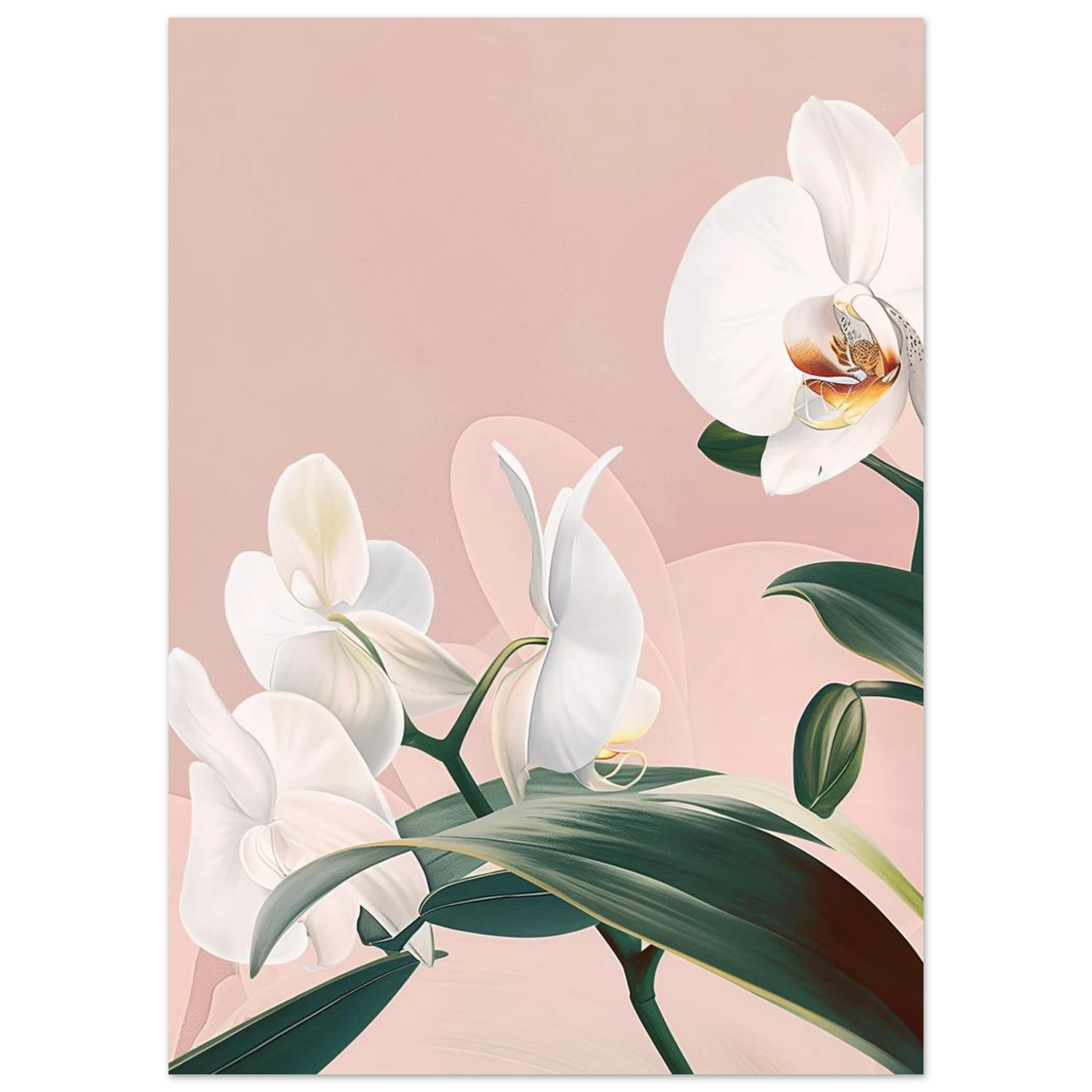 #50 x 70 cm