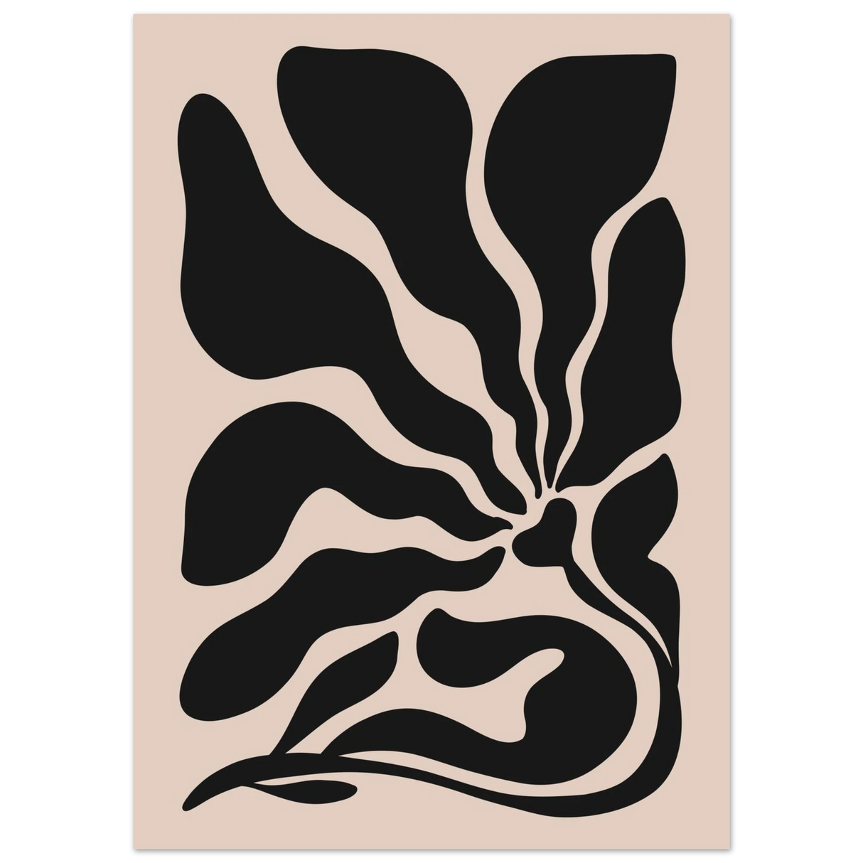 #50 x 70 cm