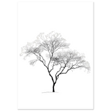 #21 x 29.7 cm
