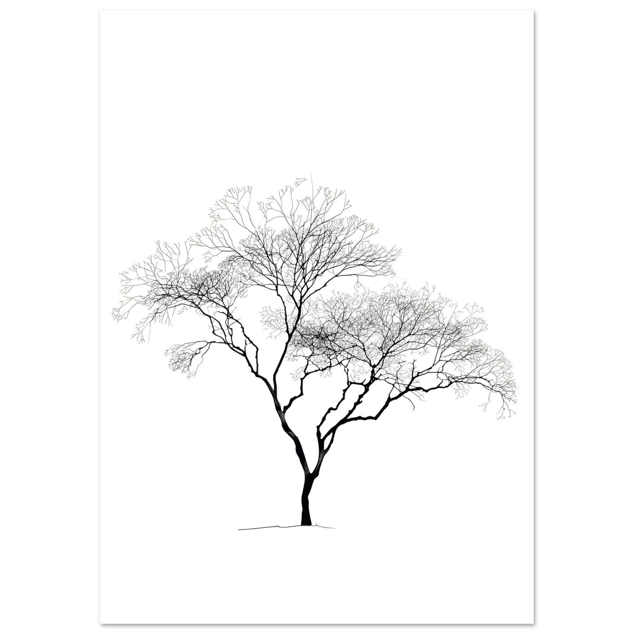 #21 x 29.7 cm