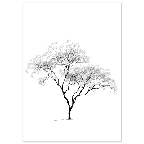 #21 x 29.7 cm