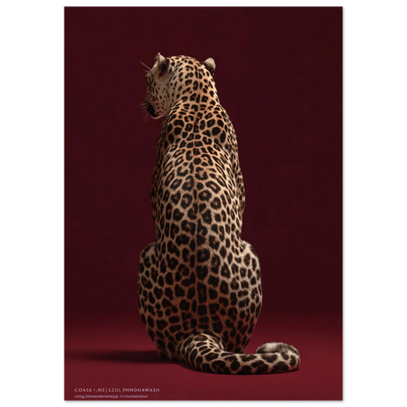 #21 x 29.7 cm