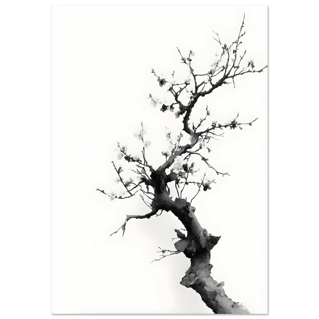 #40 x 50 cm