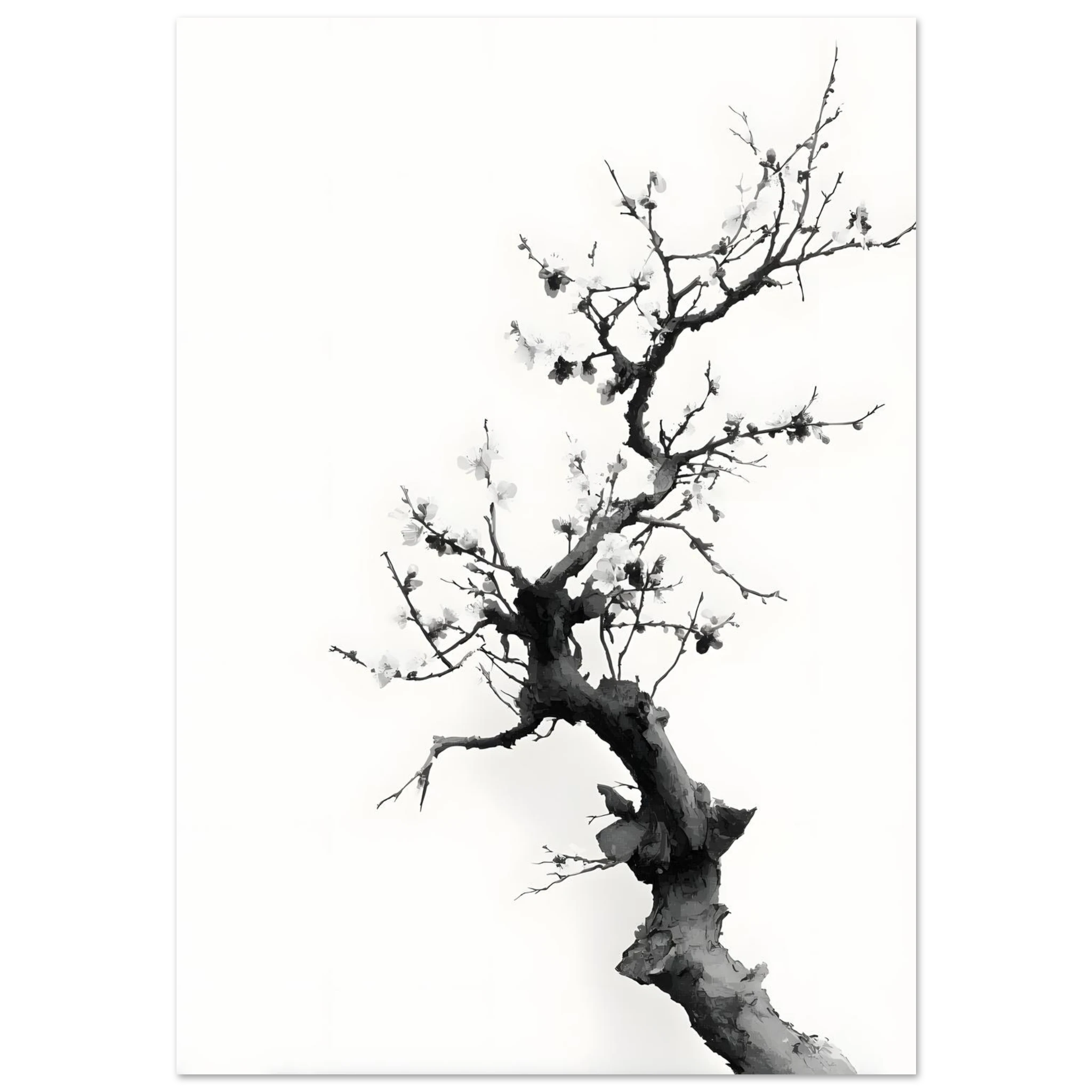 #40 x 50 cm