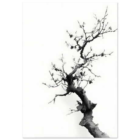 #40 x 50 cm